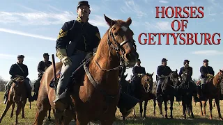 Horses Of Gettysburg | FULL DOCUMENTARY