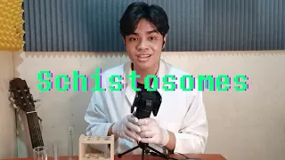 Schistosong! (A song about the Schistosoma spp.)