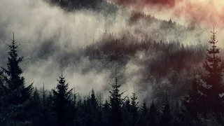 Frostlagte Måne - Carpathian Forest