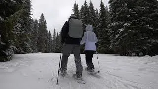 Trillium lake, OR. Snow Shoeing, Mt. Hood, 스노우 슈잉, 미국 오레곤주 마운틴 후드, 파랑새는 있다.  スノーシュイン　オレゴン州