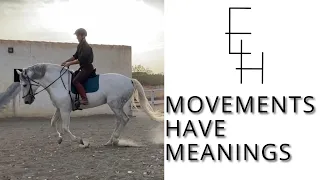 Your horses MOVEMENTS have MEANINGS