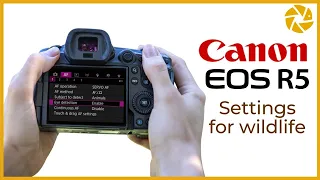 Canon R5 Settings For Wildlife Photography