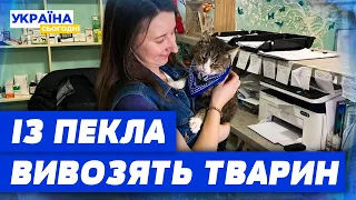 ТЕЖ ХОЧУТЬ ЖИТИ! Евакуація тварин із Вовчанська