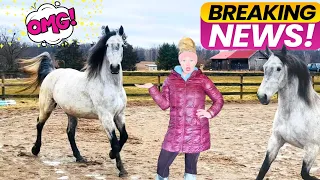 SHOCKING NEWS! I WON’T BE ABLE TO RIDE MY NEW AUCTION MARE