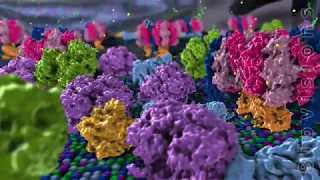 BioVisions: Electron Transport and ATP Production in Cells