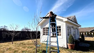 Pruning Fruit Trees & Bulb Update in the Cut Flower Garden! ✂️🌳🍎 // Garden Answer