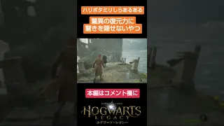 ハリポタミリしら勢、魔法の力が想像以上で驚く。 #shorts #ホグワーツレガシー #hogwartslegacy  #ハリーポッター #harrypotter