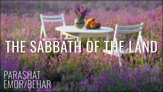 Parashat Emor/Behar 5782: The Sabbath of the Land