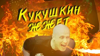 Кукушкин жжет (смешные моменты подземелья чикен карри 2)