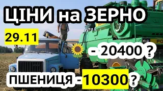 Ціни на зерно 29.11! Соняшник 20400!! Пшениця 10300!!! Кукурудза 8350. Коли продавати врожай?