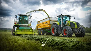 SENÁŽE 2024🌾📸🚜 | V hlavní roli Claas Jaguar 870💚 Tatra 815❤ New Holland TG💙 & T7💙 & T6💙 + Axion 920💚