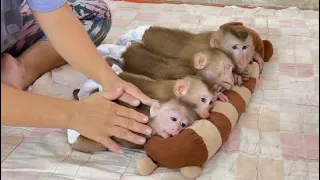 4 Siblings Sleep Very Relaxing & Comfy While Mom Gently Massage For Them ,