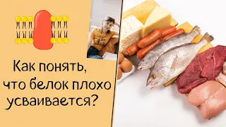 Как понять, что белок плохо усваивается?