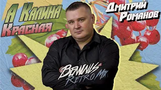 Дмитрий Романов - А калина красная (Benvinls Retro Mix)