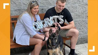 Dog who was nearly beaten to death adopted by officer who rescued him