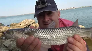 ПЕЛЕНГАС на ХАДЖИБЕЕ в ОКТЯБРЕ!КАРАСЬ в подарок! nrg FISHING