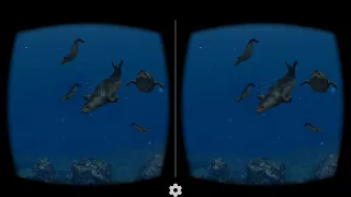 Seal | VR box 360