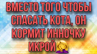 ВМЕСТО ТОГО ЧТОБЫ СПАСАТЬ КОТА, ОН КОРМИТ ИННОЧКУ ИКРОЙ. ДНЕВНИК БОМЖА.