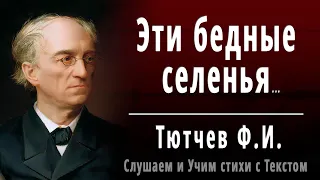 Ф.И. Тютчев "Эти бедные селенья" - Слушать и Учить аудио стихи