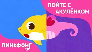 Хвост Акулёнка | Пойте с Акулёнком | Пинкфонг Песни для Детей