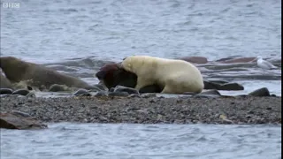 The Flailing Walrus Is Immensely Powerful