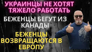 КАНАДЦЫ В ШОКЕ ОТ БЕЖЕНЦЕВ. Украинские беженцы Не хотят тяжело работать.