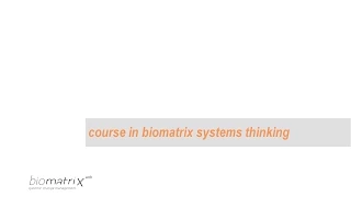 Introduction to Biomatrix systems thinking course