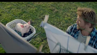Be Their Hero: Cute Pig TV Commercial - Part 3
