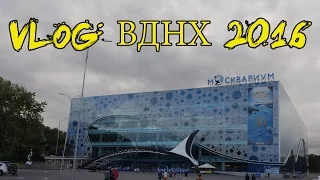 VLOG: ВДНХ 2016, Москвариум, Шоу кругосветное путешествие