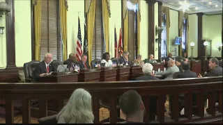 Savannah City Council discusses inclusion in arena contracts