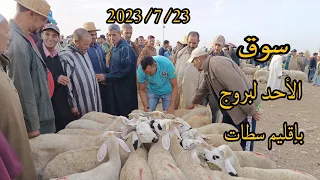 الله مشاء الله على سوق الأحد لبروج بإقليم سطات بتاريخ 2023/7/23 مع اتمنة خروف وخرفة الكسابي 🇲🇦🐏🐑