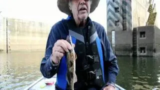 Ray Wix October Pickwick Dam Sauger&Crappie Technique fishing Slider Grubs.mp4