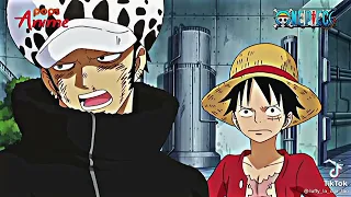 [Tik tok one piece] Những khoảng khắc hài hước, tình cảm#33