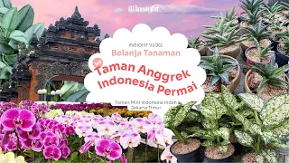 Rekomendasi Tempat Beli Tanaman: Taman Anggrek Indonesia Permai🪴