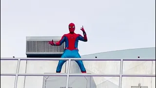 The Amazing Spider Man Show at Disney California Adventure Park