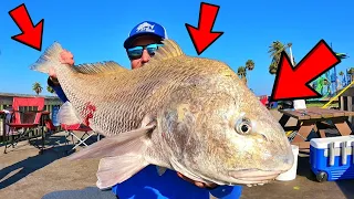 Fishing Seawolf Park for BIG drum !! | 3rd Coast Fishin Charters