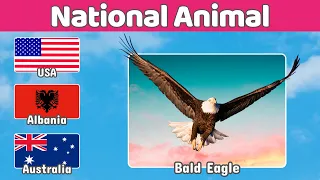 Guess The Country By National Animal – Country Quiz!