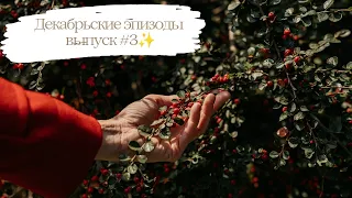 Декабрьский эпизод 3 ✨