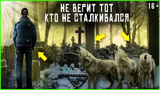 Встреча с волком в тайге на кладбище. Таежные истории и байки. Аудио рассказы