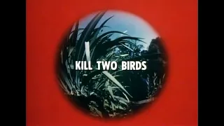 Kill Two Birds - Thriller British TV Series