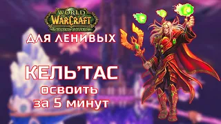 Кель'тас Солнечный Скиталец Тактика Крепость Бурь Burning Crusade для ленивых