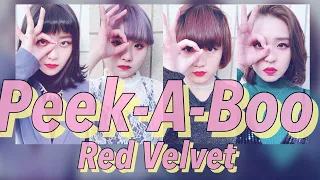 Red Velvet(레드벨벳) -  Peek-A-Boo( 피카부 ) Dance Cover