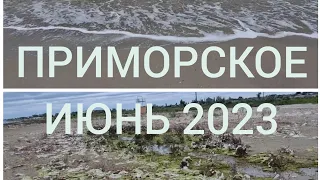 Одесская область. 13 июня. Холодно. Пляж пустынный и грязный...