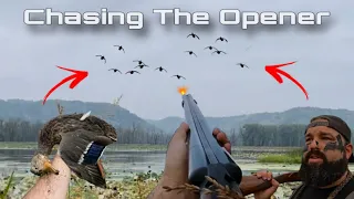 Chasing the Opener! Minnesota Public Land Duck Hunting Opener!