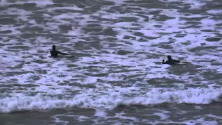 Watergate Bay surfers