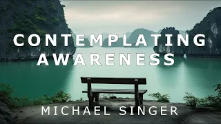 Michael Singer - Contemplating Awareness