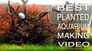 Best Planted Aquarium Making Video || Full Version || Still Water Aquatics