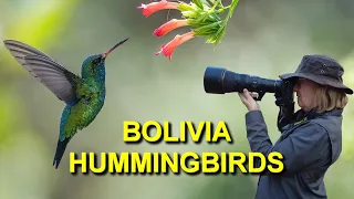 Hummingbird Garden in Bolivia Attracts 18 Species