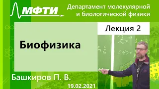 "Биофизика", Башкиров. П. В. 19.02.2021г.