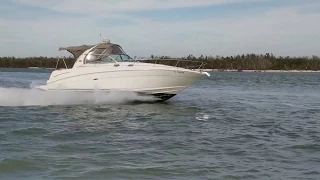 Sea Ray 300 Sundancer Marco Yacht Sales